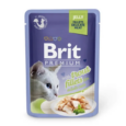 file-s-forelyu-v-zhele-dlya-vzroslyh-koshek-brit-premium-cat-1