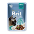 file-s-govyadinoj-v-souse-brit-premium-cat-pouch-85-g-1