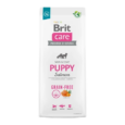 suhoj-korm-dlya-shhenkov-brit-care-dog-c-lososem-12-kg