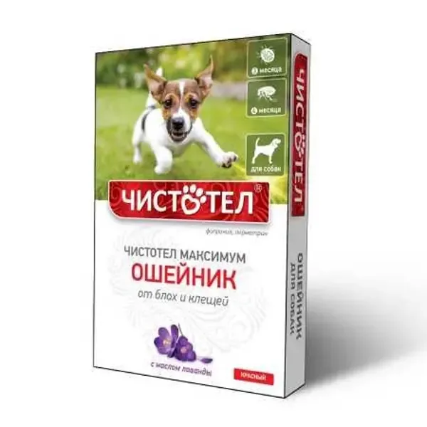 Chistotel Max ошейник от блох и клещей для собак