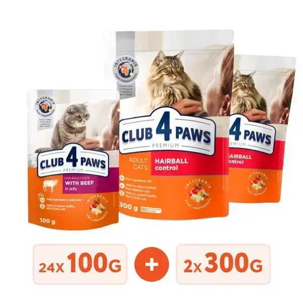 Club 4 Paws Premium Vlazhnyj Korm Dlya Vzroslyh Koshek S Govyadinoj V Zhele Upakovka 24 Sht 01 Kg Podarok