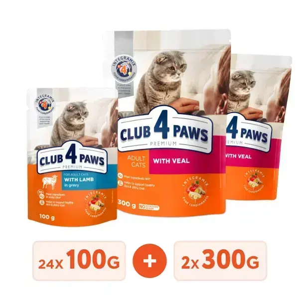 Club 4 Paws Premium Vlazhnyj Korm Dlya Vzroslyh Koshek S Yagnenkom V Souse Upakovka 24 Sht 01 Kg Podarok